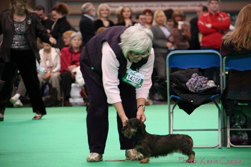 Crufts2011_2 1104.jpg